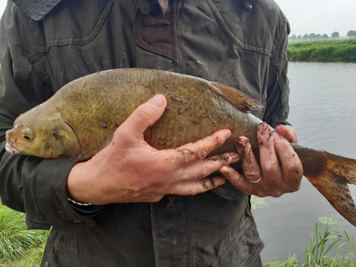 Vakantiehuis De Veldhoen Vrijgelegen Nabij De Rivier De Vecht Beerze Екстериор снимка